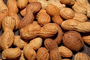 Peanuts in Shells